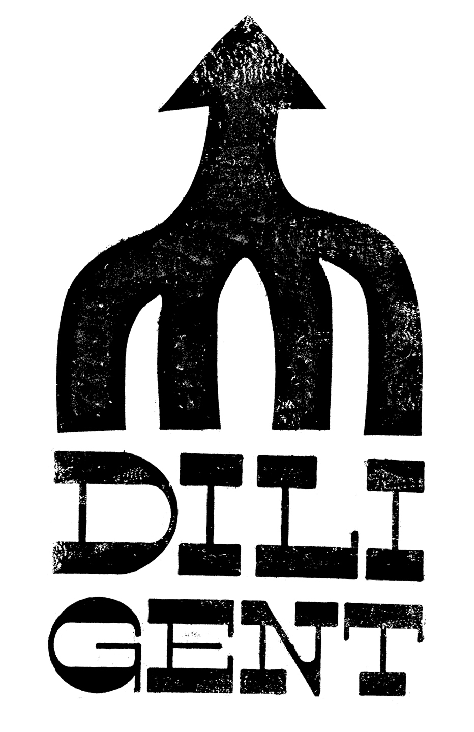 Diligent skateboards